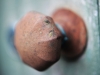 knob_web