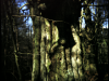 clent-1