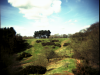 clent-6