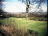 clent-7