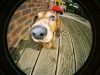luka_02