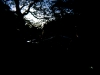 mostly-jazz-5