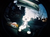 racoon_01