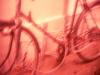 untitled-8_web