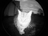 xptwo1_5