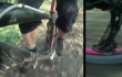Kinver and back video
