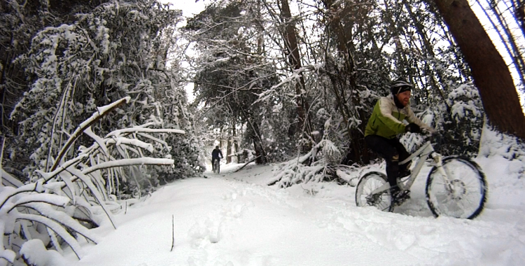 Spring Snow video