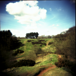 clent-6