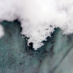 Snowy DOF 