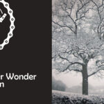 Episode 25 - Winter Wonder Weigh-In